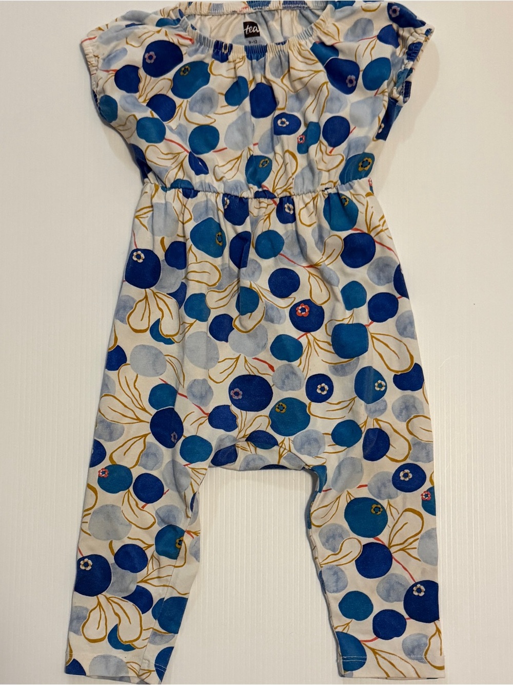 Tea Collection Romper 9-12m GUC